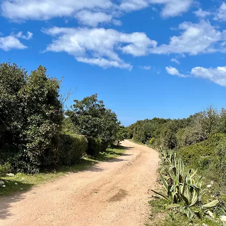 Domaine De Licetto 4*