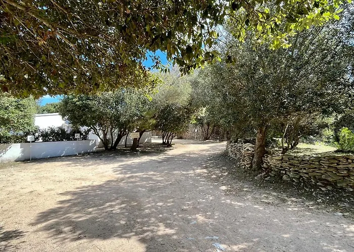 Domaine De Licetto Bonifacio (Corsica)