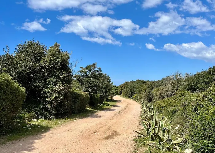 Domaine De Licetto 4*