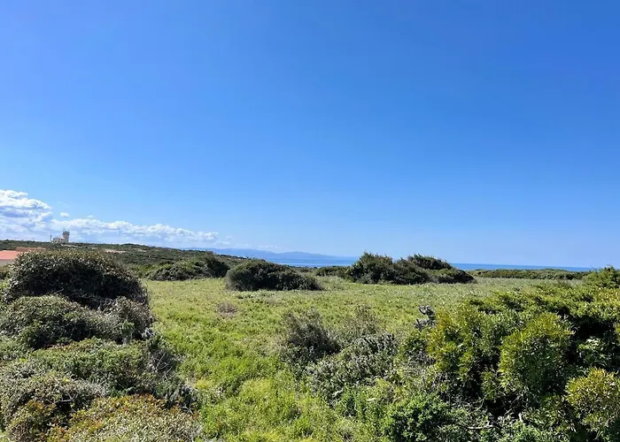 Domaine De Licetto 4*